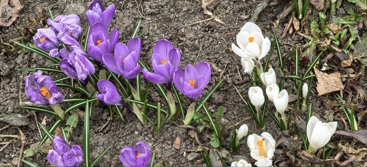 27 марта отмечают Венедиктов день