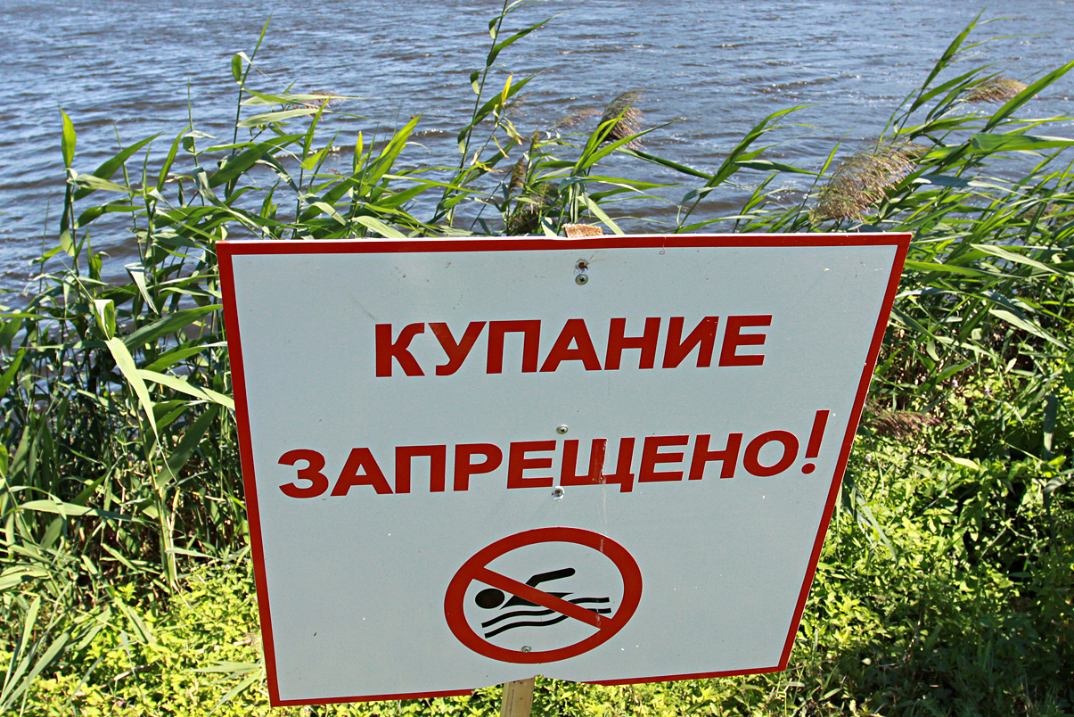 В Беларуси ограничено купание в водоёмах 14 зон рекреации, запрещено в двух
