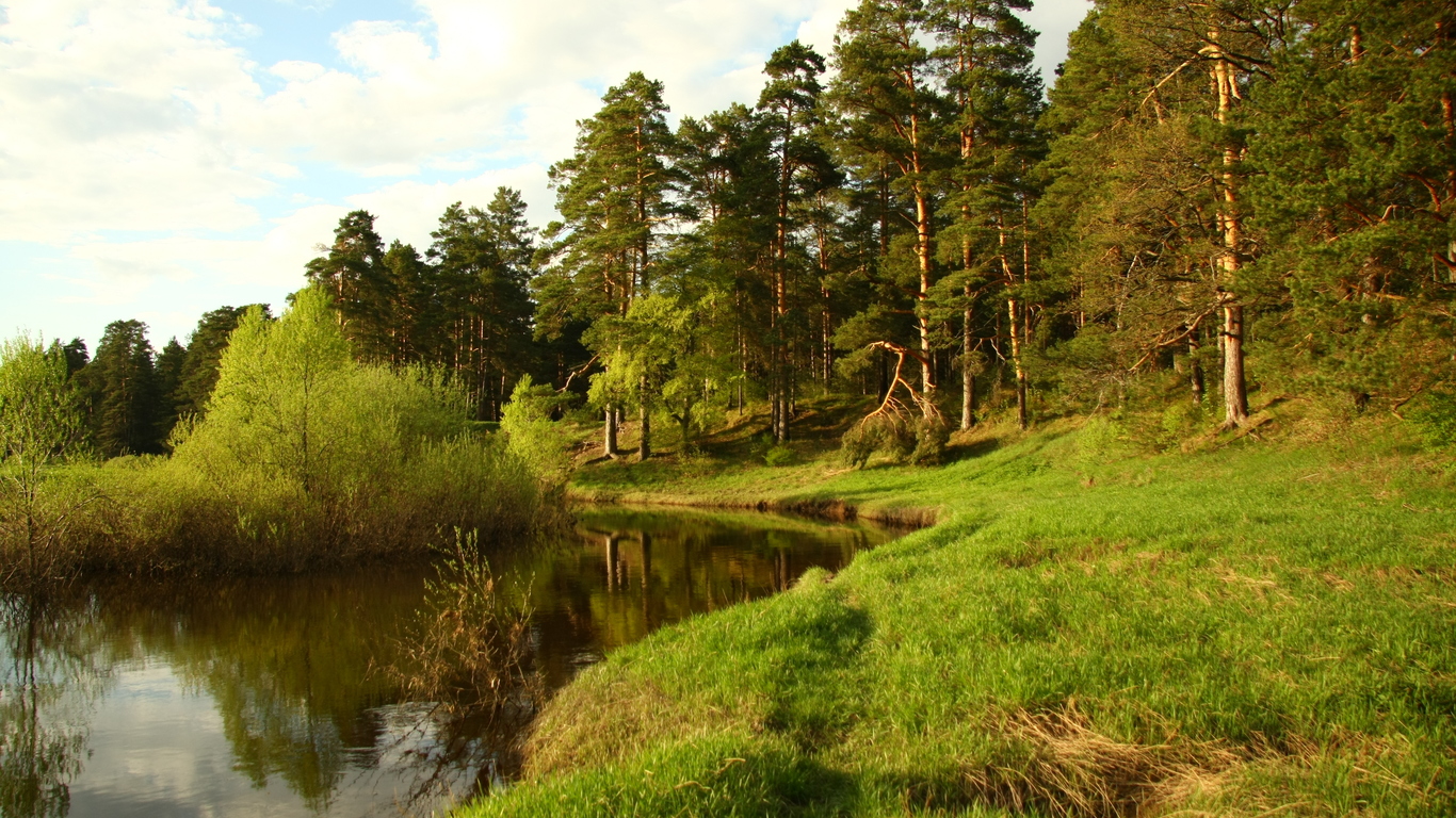 В районах Гомельской области снят запрет на посещение лесов
