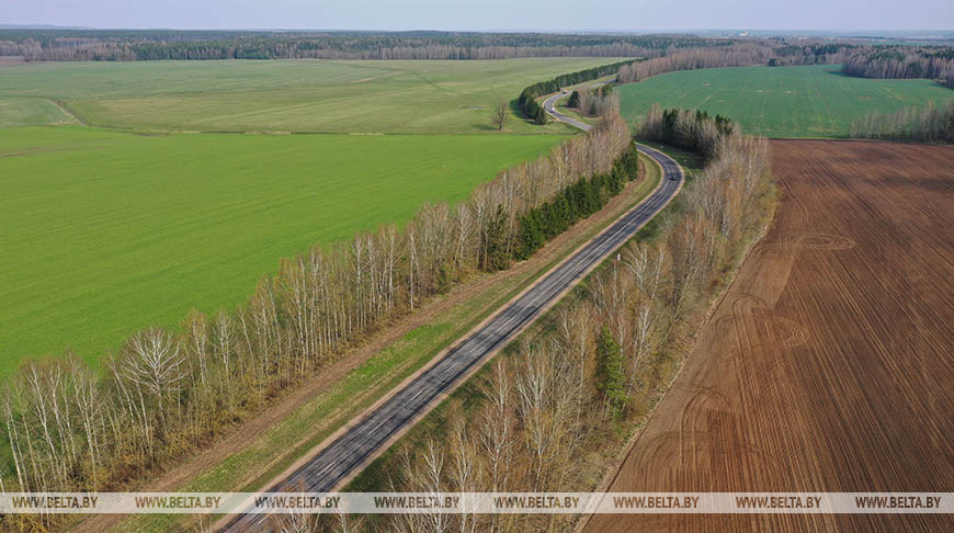 Свыше 1,8 тыс.га неиспользуемых земель вовлекли в сельхозоборот в Гомельской области с начала года
