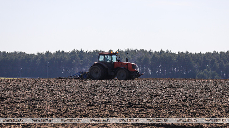 Белорусские аграрии подготовили более половины площадей под сев сельхозкультур