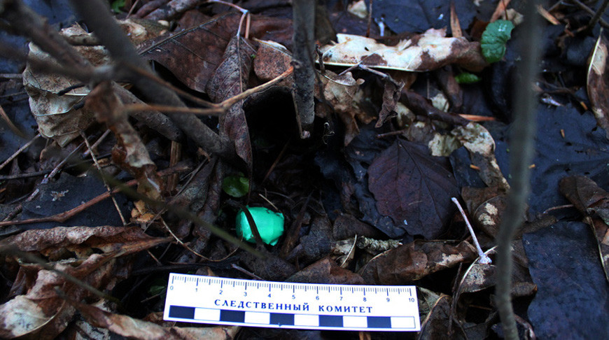 Установлена причина смерти в новогоднюю ночь мужчины в Речице