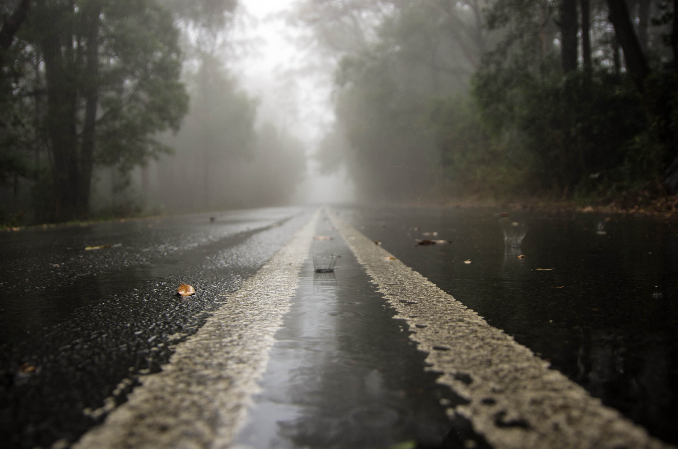 Дожди и туманы усложнят дорожную ситуацию