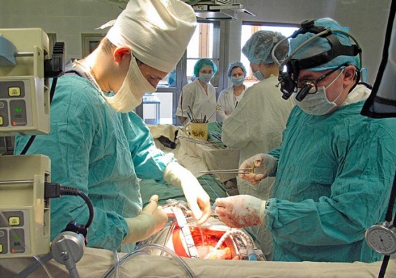 500-ю операцию по пересадке печени выполнили белорусские специалисты