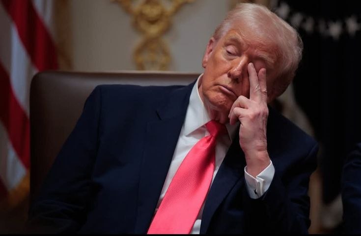 Создание альтернативы НАТО обсуждают Европа и Канада