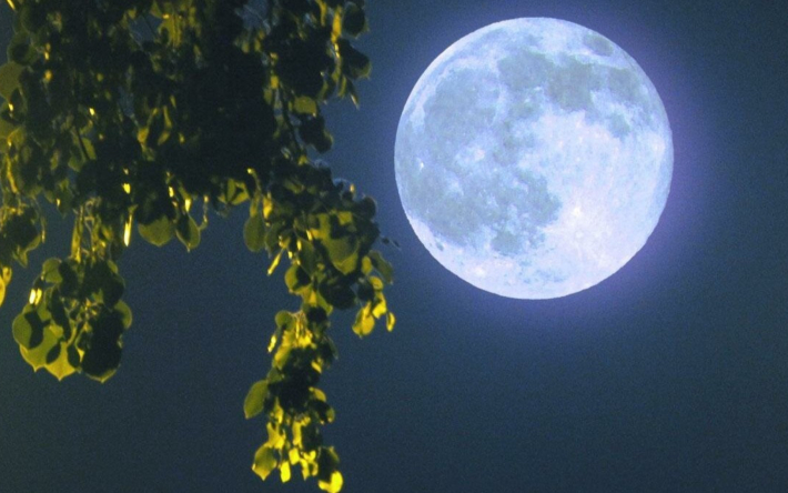 На Гомельщине 1 августа можно будет увидеть Осетровое полнолуние