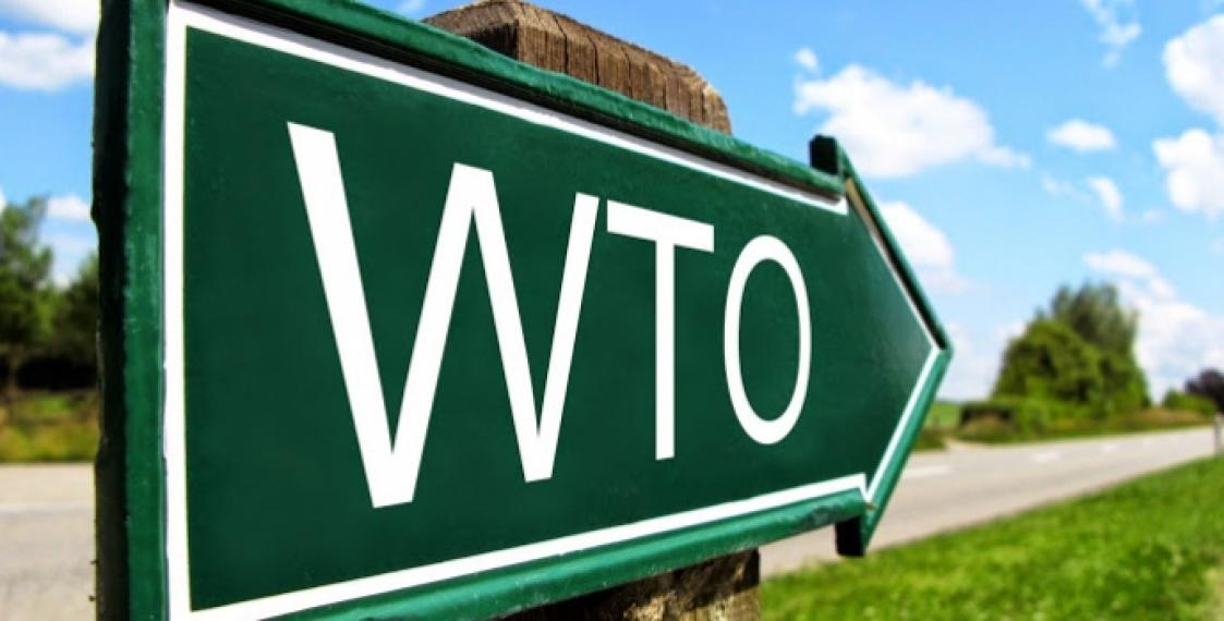 Беларусь на пути в ВТО. Очередной раунд переговоров намечен на март
