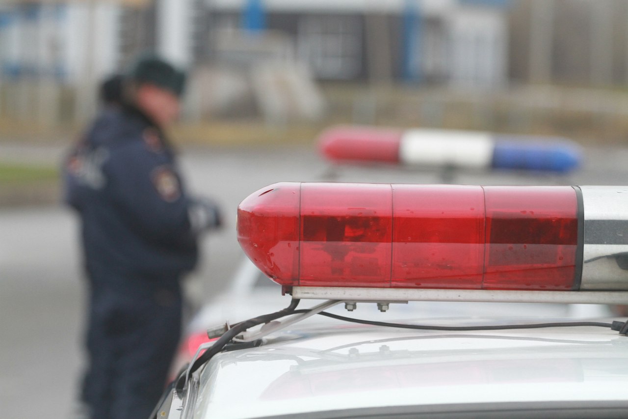 В Буда-Кошелевском районе водитель сбил человека и скрылся с места