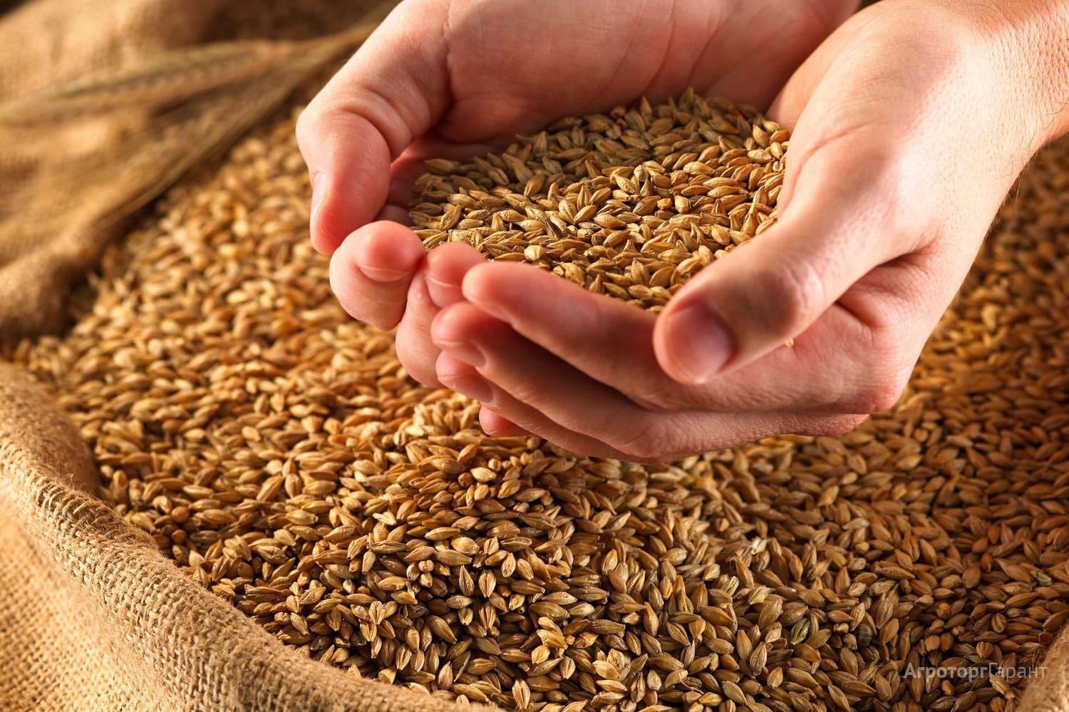 Беларусь и Египет планируют организовать производство зернохранилищ