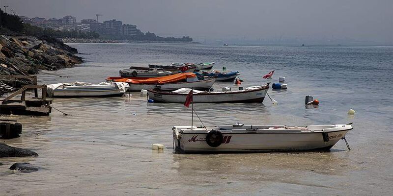 СМИ: Мраморное море в Турции отступило от берега на 20 м