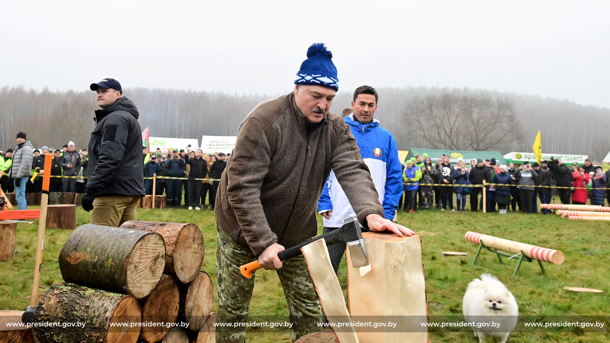 В Минлесхозе рассказали, кому передали дрова, которые рубил Лукашенко