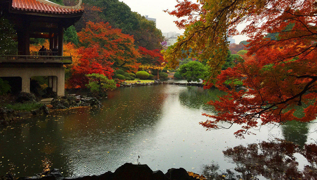 Больше ста тысяч туристов посетили Японский парк бесплатно, потому что продавец билетов стеснялся