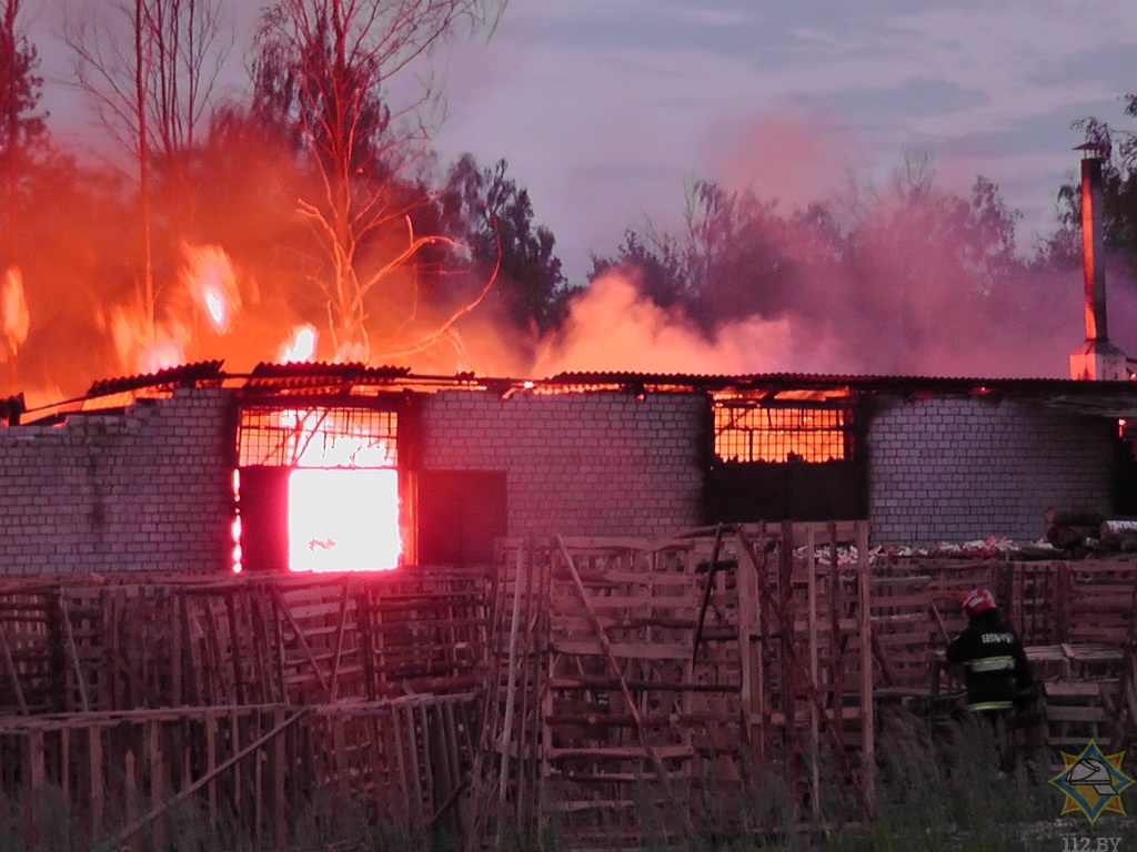 Склад дров горел в Светлогорске
